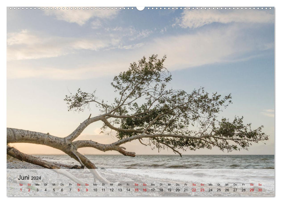 Baltic Sea Coast Schwedeneck 2024 (CALVENDO Premium Wall Calendar 2024) 