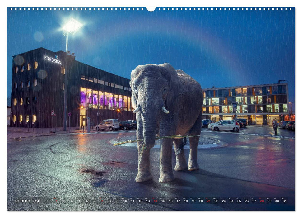 Urban Animals (CALVENDO Premium Wandkalender 2024)