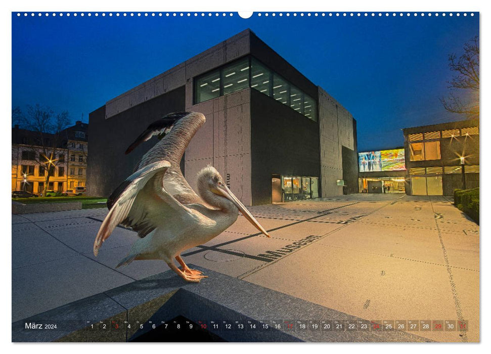 Urban Animals (CALVENDO Premium Wall Calendar 2024) 