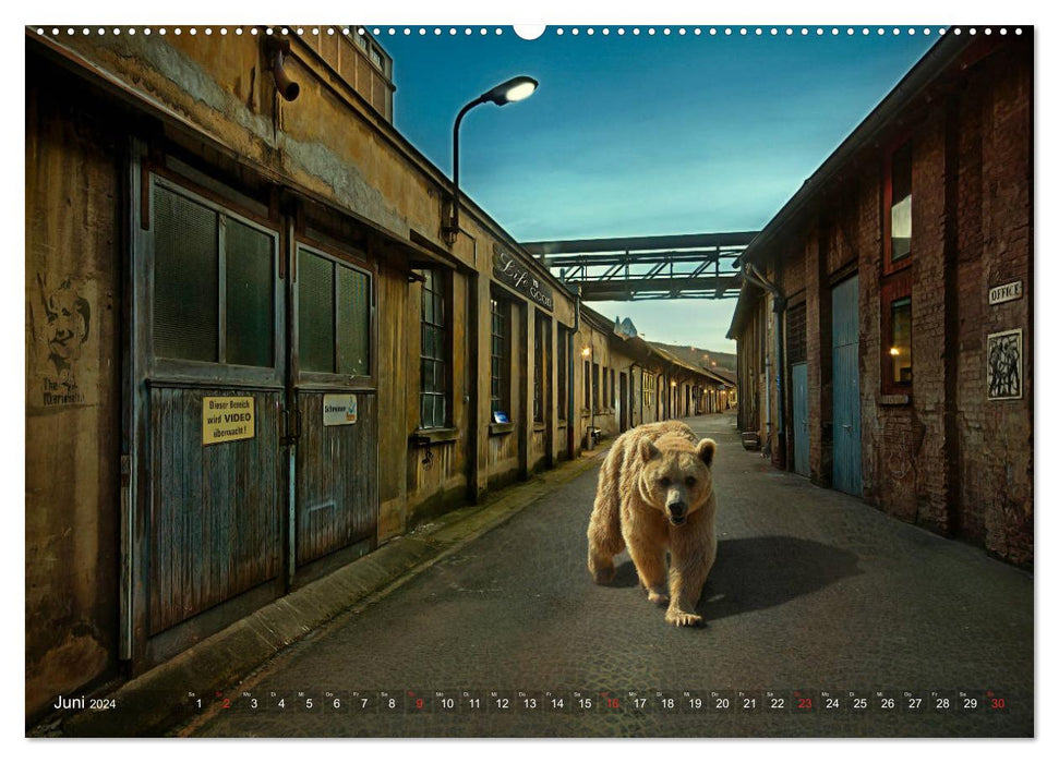 Urban Animals (CALVENDO Premium Wall Calendar 2024) 