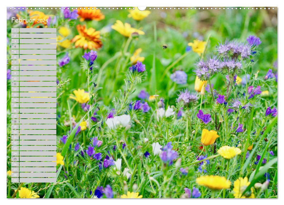 Feldblumen an meinem Weg (CALVENDO Premium Wandkalender 2024)