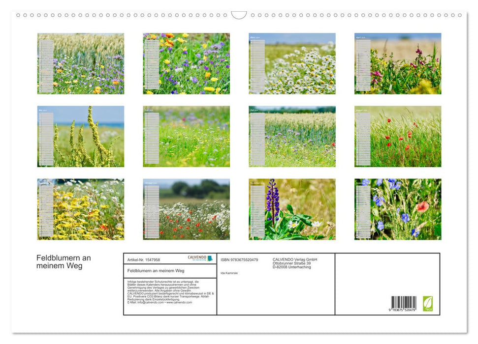 Feldblumen an meinem Weg (CALVENDO Wandkalender 2024)