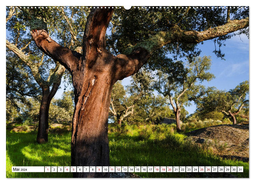 Alentejo - das romantische Portugal (CALVENDO Wandkalender 2024)