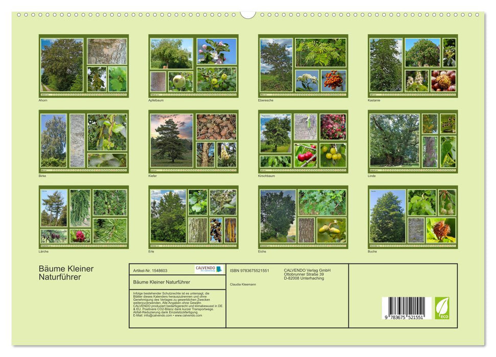 Bäume Kleiner Naturführer (CALVENDO Premium Wandkalender 2024)