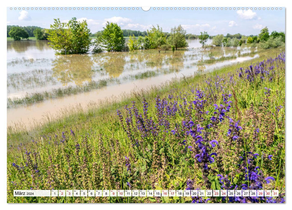 Deutsche Flüsse - An der Donau (CALVENDO Premium Wandkalender 2024)