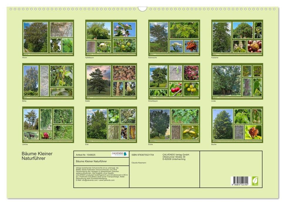 Bäume Kleiner Naturführer (CALVENDO Wandkalender 2024)