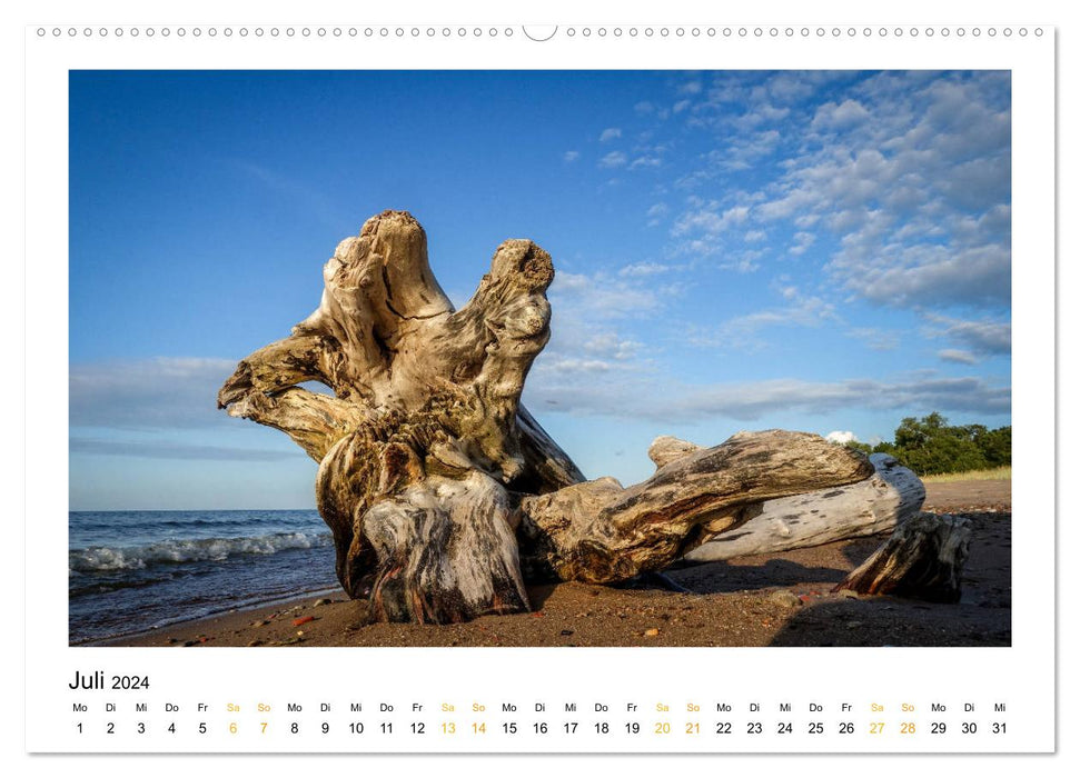 Fernweh Ostsee (CALVENDO Premium Wandkalender 2024)