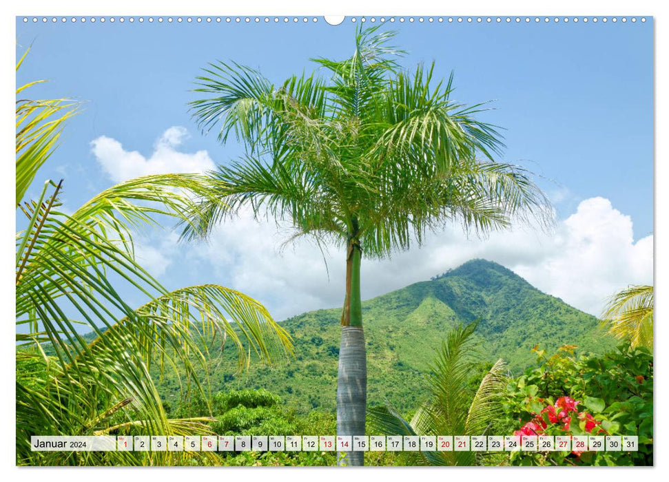 Envie de Bali (Calvendo Premium Wall Calendar 2024) 