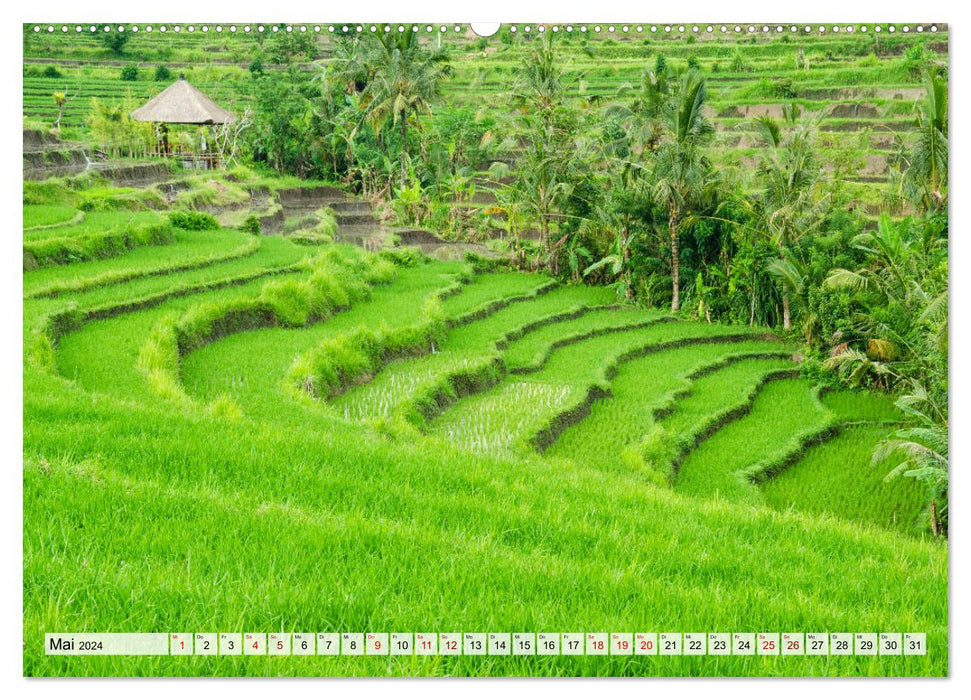 Envie de Bali (Calvendo Premium Wall Calendar 2024) 
