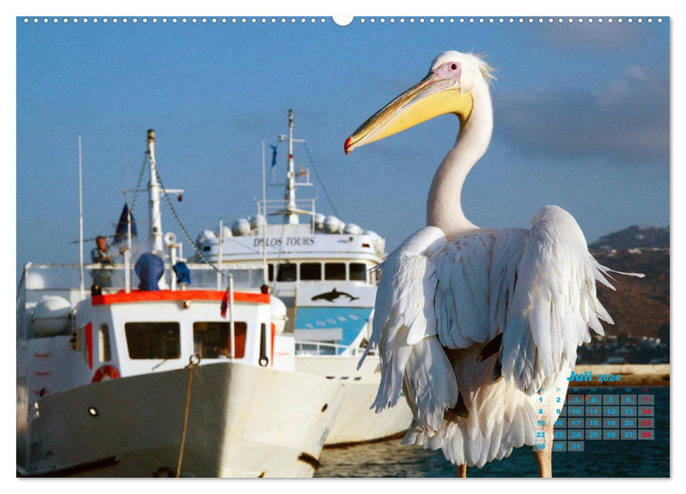 Lovable Grèce Amorgos et Mykonos (Calvendo Premium Calendrier mural 2024) 