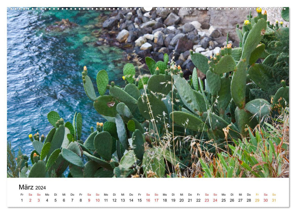 Sur les îles Éoliennes (Calendrier mural CALVENDO Premium 2024) 