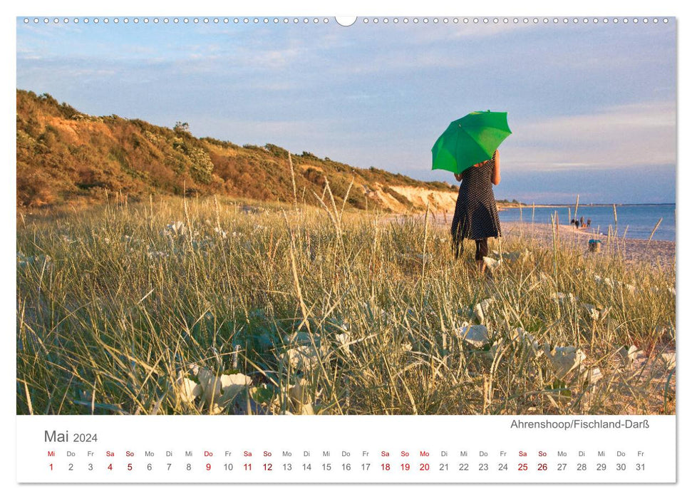 Lieblingsorte an der Ostsee (CALVENDO Premium Wandkalender 2024)
