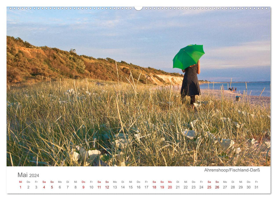 Lieux préférés sur la mer Baltique (Calendrier mural CALVENDO Premium 2024) 