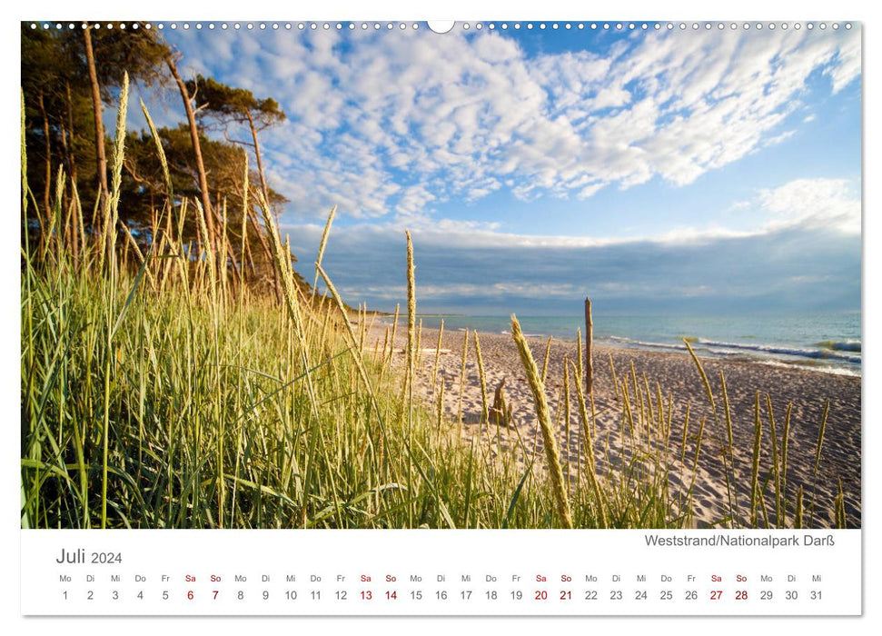 Lieux préférés sur la mer Baltique (Calendrier mural CALVENDO Premium 2024) 