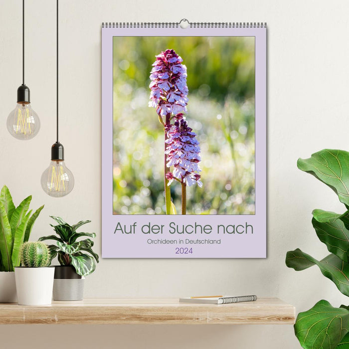 À la recherche d'orchidées en Allemagne (calendrier mural CALVENDO 2024) 