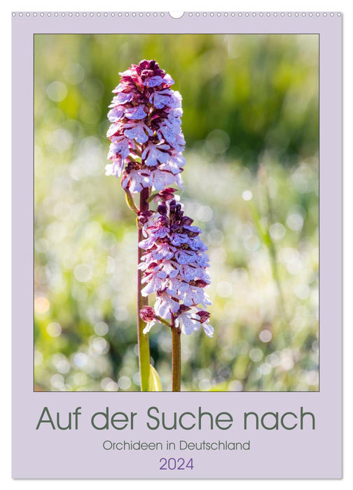 À la recherche d'orchidées en Allemagne (calendrier mural CALVENDO 2024) 