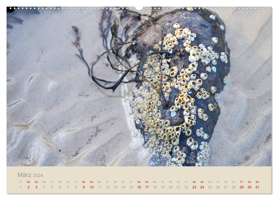 Vom Meer arrangiert (CALVENDO Premium Wandkalender 2024)