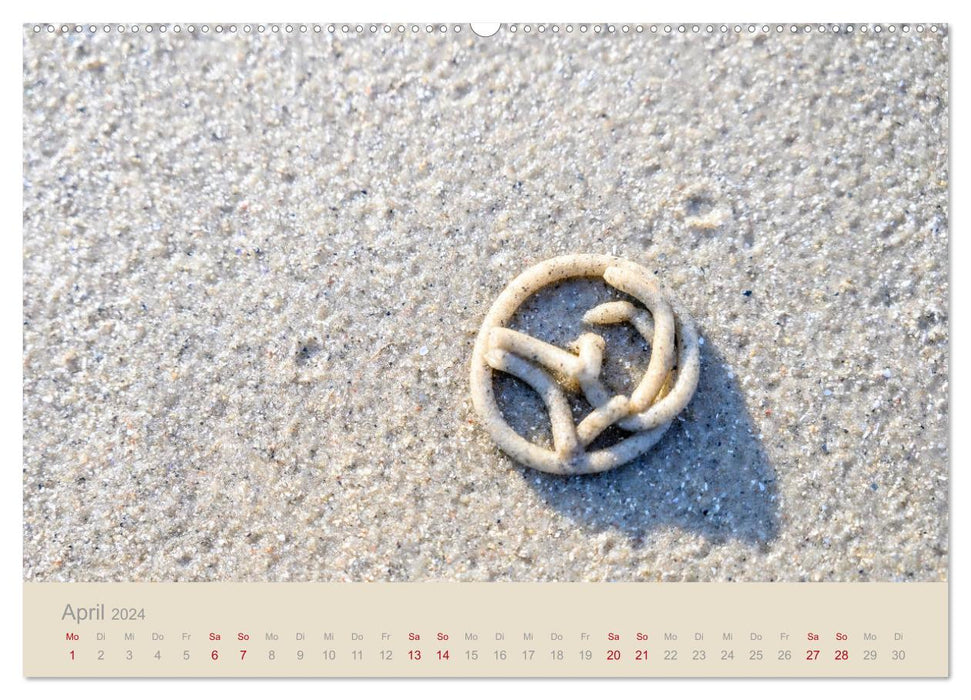 Vom Meer arrangiert (CALVENDO Premium Wandkalender 2024)