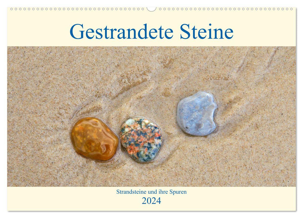 Gestrandete Steine (CALVENDO Wandkalender 2024)
