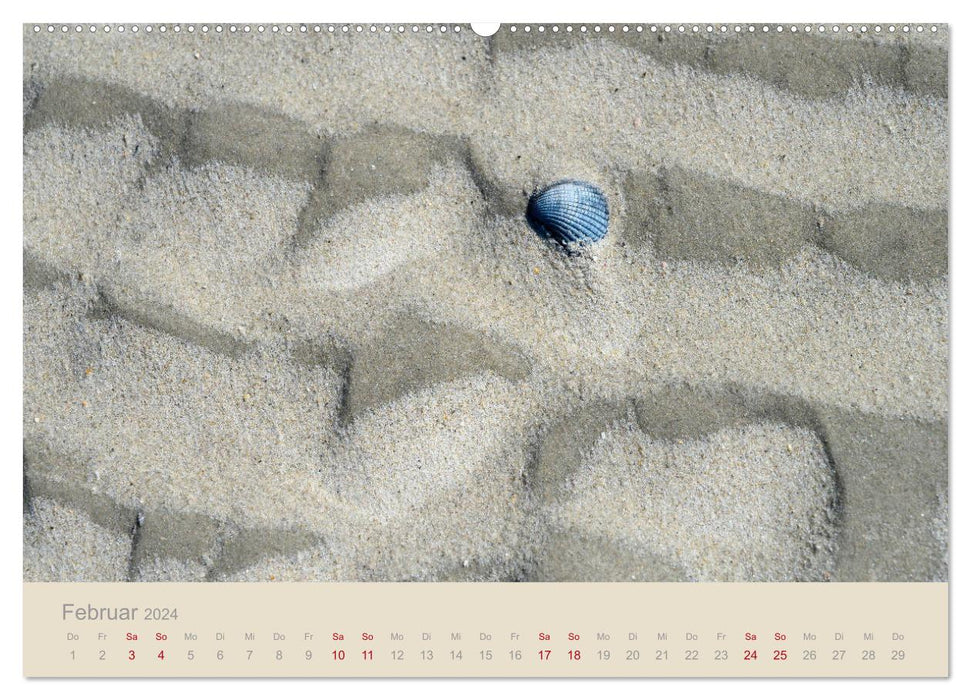 Vom Meer arrangiert (CALVENDO Wandkalender 2024)