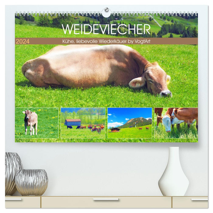 Weideviecher, Kühe liebevolle Wiederkäuer (CALVENDO Premium Wandkalender 2024)