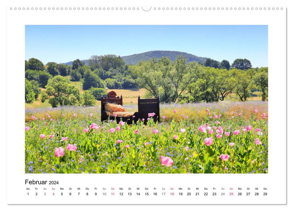 Randonnée du coquelicot à Meißner-Germerode (calendrier mural CALVENDO 2024) 