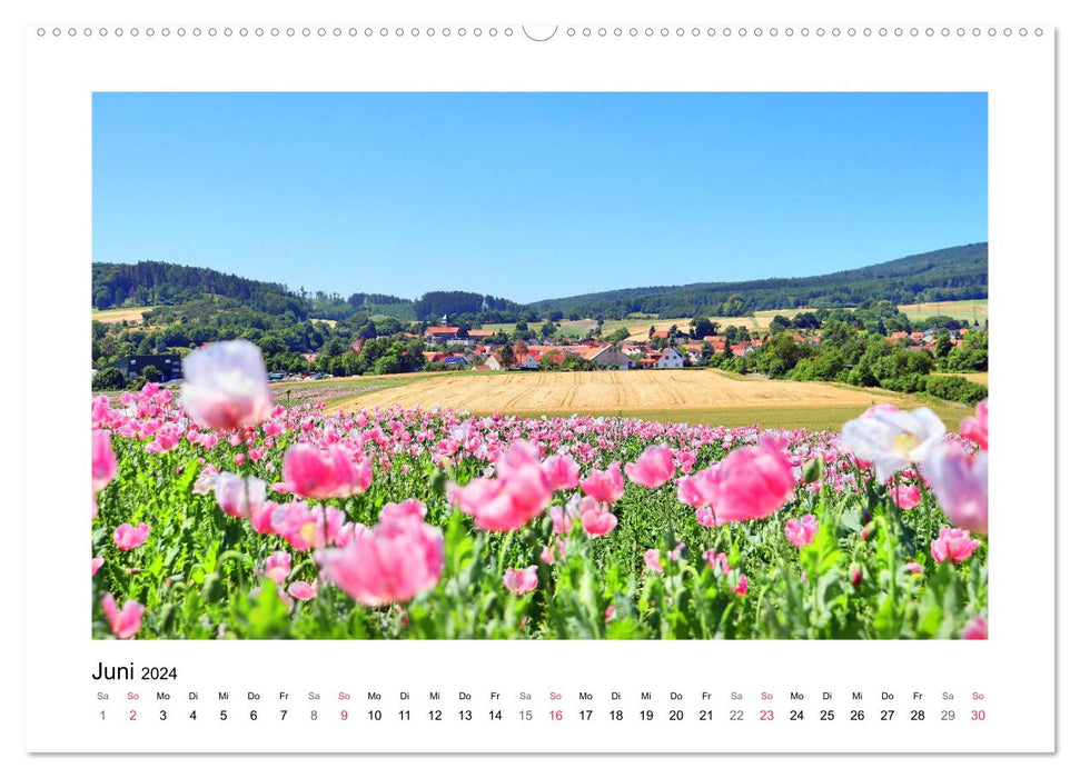 Randonnée du coquelicot à Meißner-Germerode (calendrier mural CALVENDO 2024) 