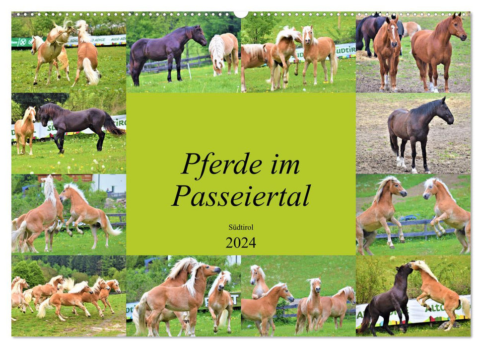 Pferde im Passeiertal (CALVENDO Wandkalender 2024)