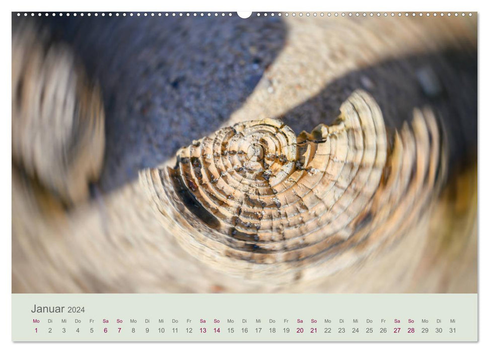 Nature en mouvement (Calendrier mural CALVENDO Premium 2024) 