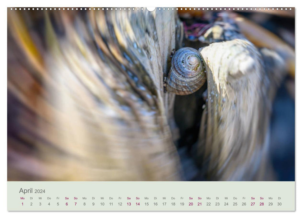 Bewegende Natur (CALVENDO Wandkalender 2024)