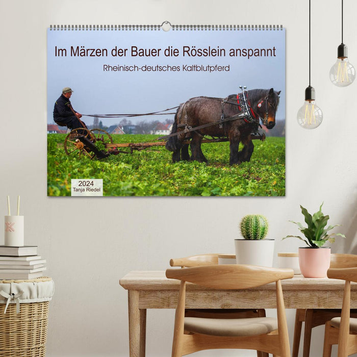 En mars le fermier attele le petit cheval (calendrier mural CALVENDO 2024) 