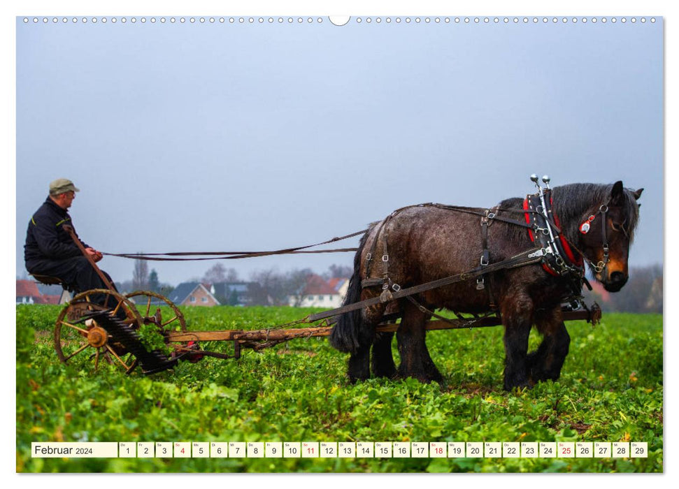 En mars le fermier attele le petit cheval (calendrier mural CALVENDO 2024) 