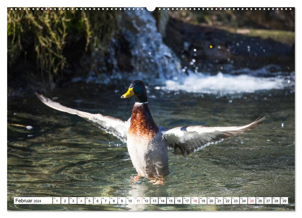 Wunderwelt der Tiere - Deutschland (CALVENDO Premium Wandkalender 2024)
