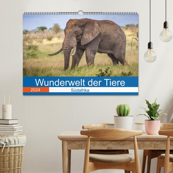 Monde merveilleux des animaux - Afrique du Sud (Calendrier mural CALVENDO 2024) 