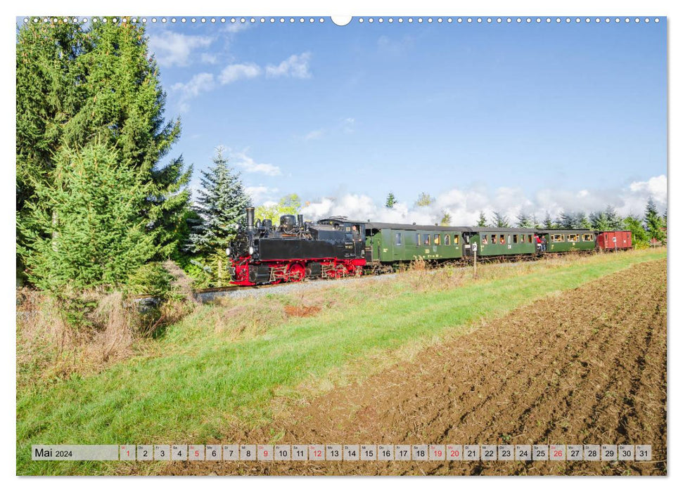 À toute vapeur dans le Harz (calendrier mural CALVENDO 2024) 