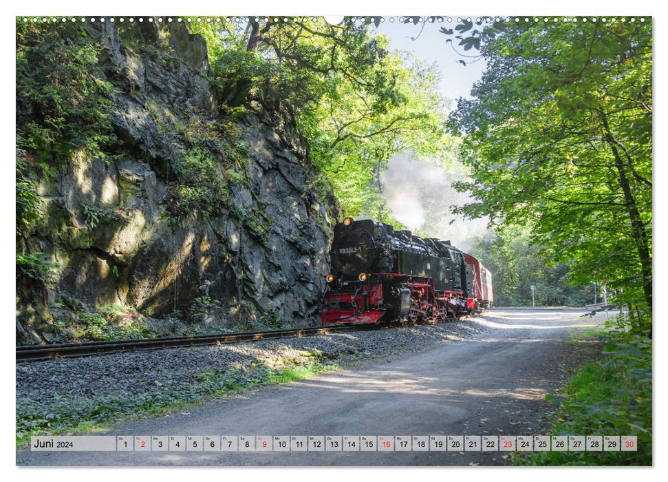 À toute vapeur dans le Harz (calendrier mural CALVENDO 2024) 