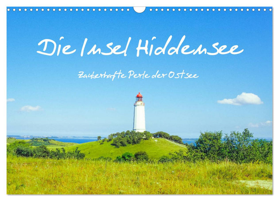 Hiddensee - Perle dans la mer Baltique (calendrier mural CALVENDO 2024) 