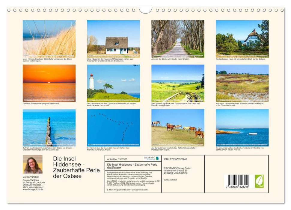 Hiddensee - Perle in der Ostsee (CALVENDO Wandkalender 2024)