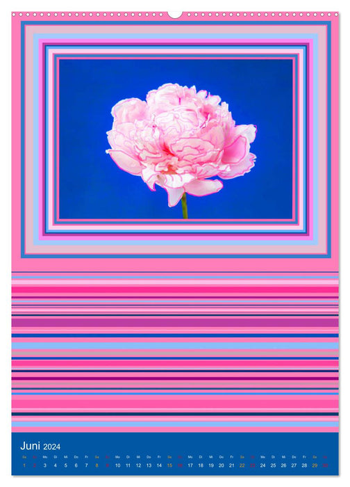 Farbiger Blütenrausch (CALVENDO Premium Wandkalender 2024)