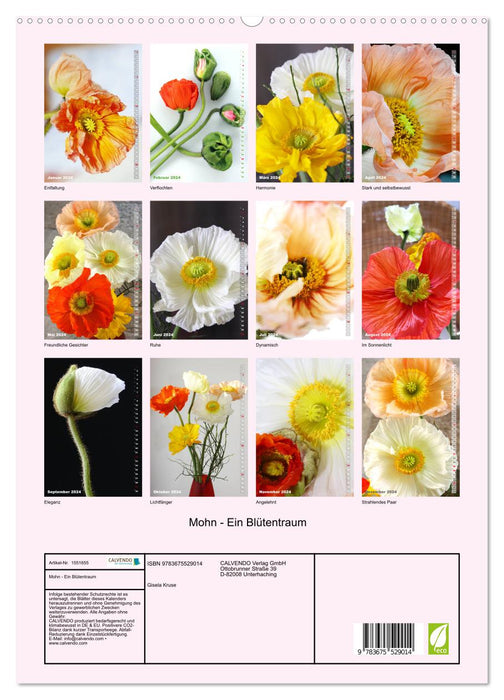 Mohn - Ein Blütentraum (CALVENDO Premium Wandkalender 2024)