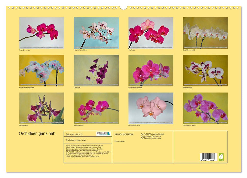 Orchids up close (CALVENDO wall calendar 2024) 