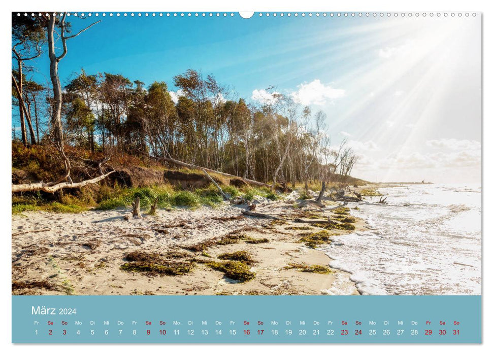 Summer lights - atmospheric landscape images (CALVENDO Premium Wall Calendar 2024) 