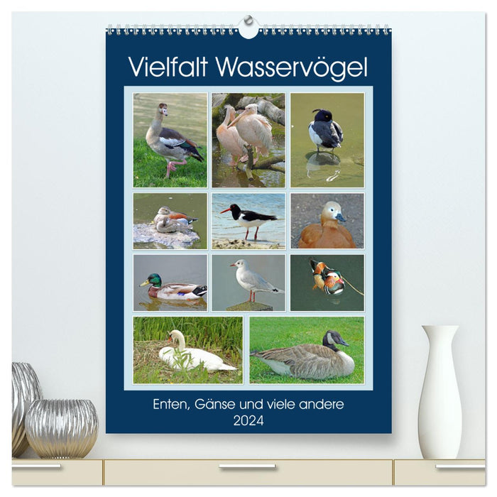 Diversity of water birds (CALVENDO Premium Wall Calendar 2024) 