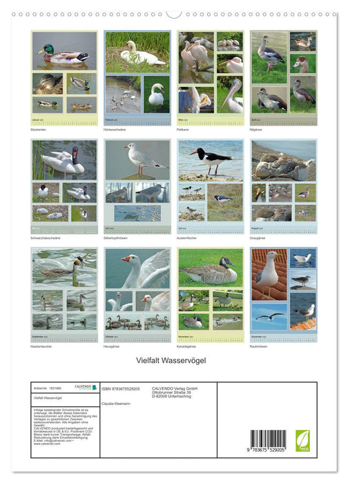 Diversity of water birds (CALVENDO Premium Wall Calendar 2024) 