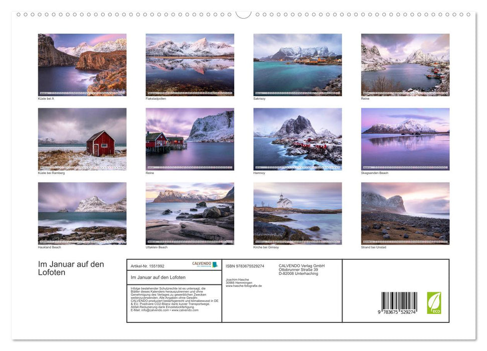 In January on the Lofoten (CALVENDO Premium Wall Calendar 2024) 