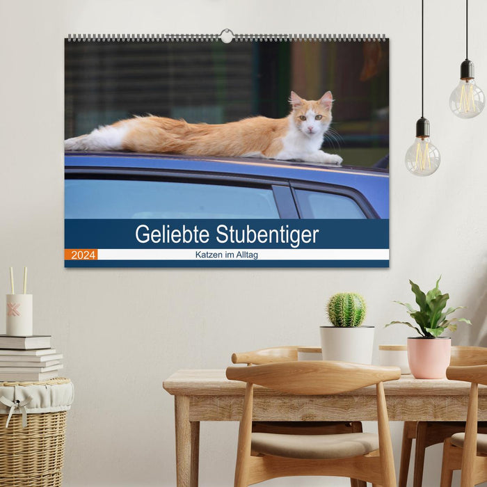 Geliebte Stubentiger - Katzen im Alltag (CALVENDO Wandkalender 2024)