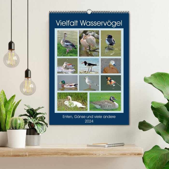 Diversity of water birds (CALVENDO wall calendar 2024) 