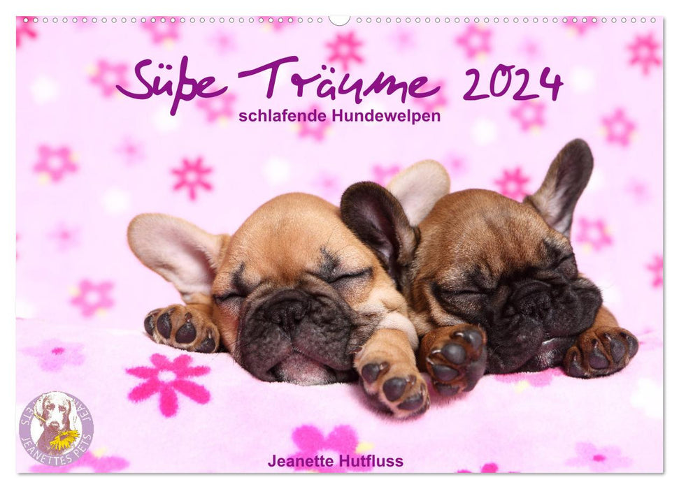 Süße Träume 2024 - schlafende Hundewelpen (CALVENDO Wandkalender 2024)