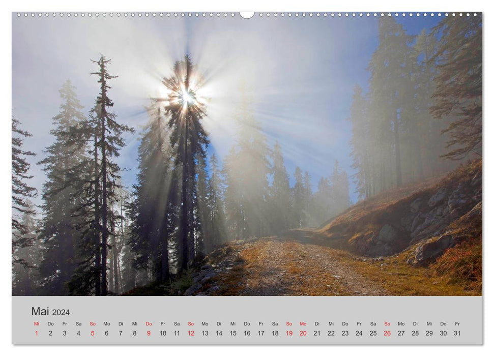 Komm, ich zeige dir den Wald (CALVENDO Premium Wandkalender 2024)