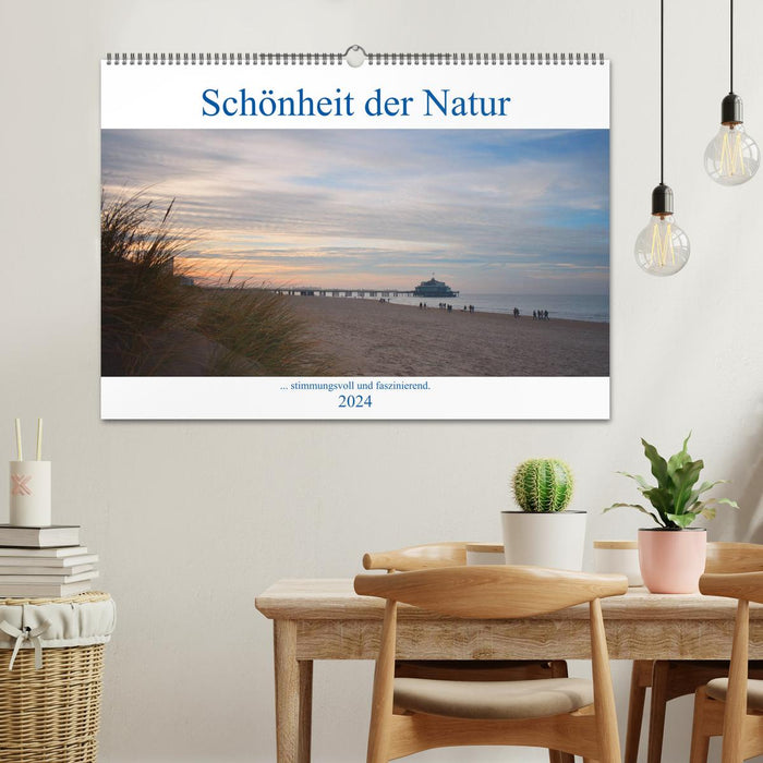 Schönheit der Natur. (CALVENDO Wandkalender 2024)